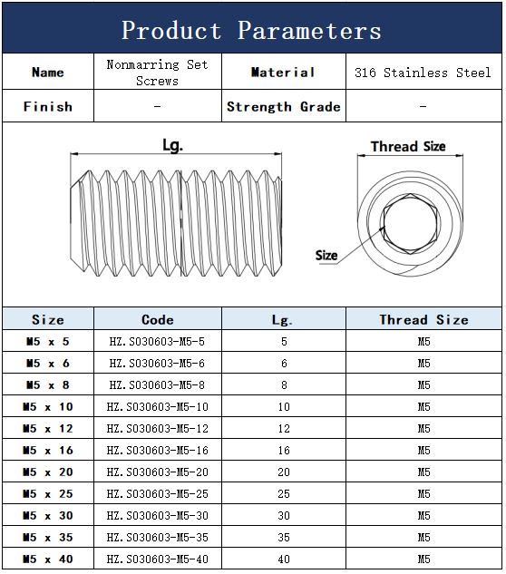 M5 316 Stainless Steel Nonmarring Set Screws Fastener Manufacturer 